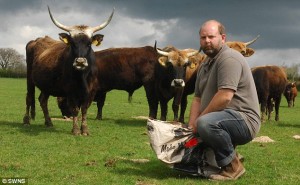 We were only following udders -- Derek Gow amidst Nazi bovines