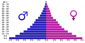 Angolan-Population-Pyramid-2005