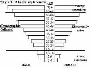 Inverted-Population-Pyramid