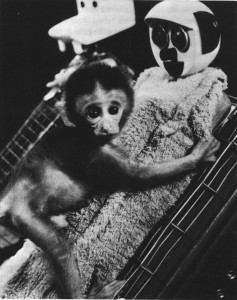 Harlow's Monkey Experiments