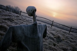winterscarcrow