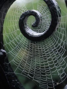 web