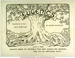 eugenics